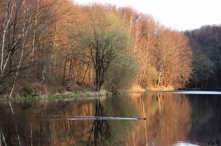 alkalam al3adb..........